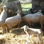 Quinta Da Mina Feriegård *