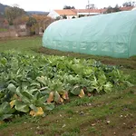 Quinta Da Mina Feriegård Monsanto