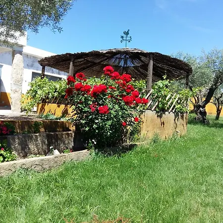 Quinta Da Mina בית חווה מונסנטו