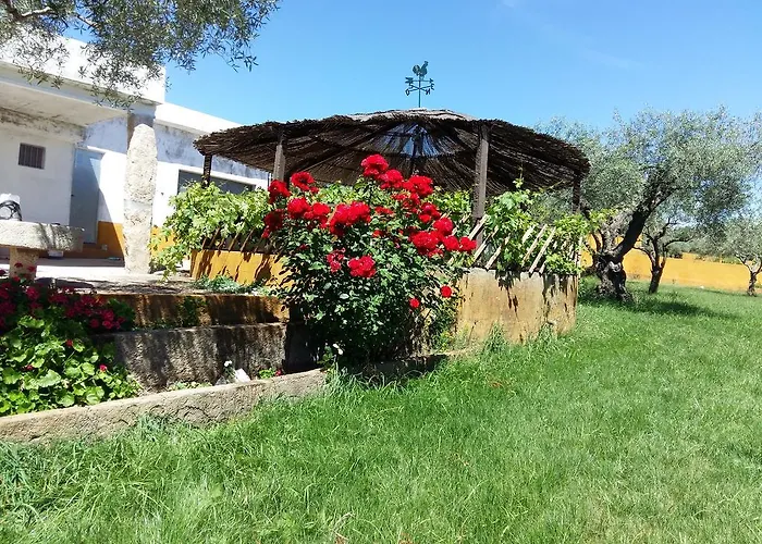 Quinta Da Mina בית חווה מונסנטו