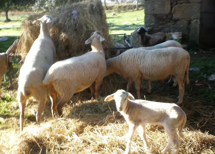 Quinta Da Mina Κατάλυμα σε φάρμα *