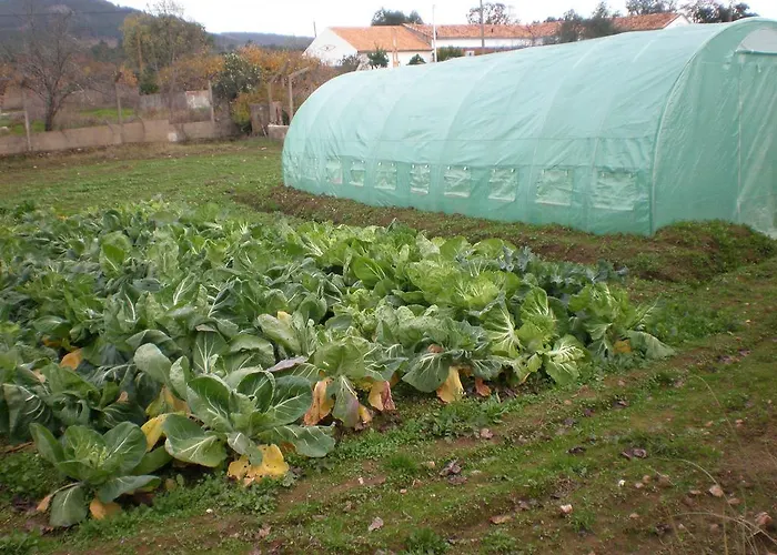 Quinta Da Mina Κατάλυμα σε φάρμα Monsanto